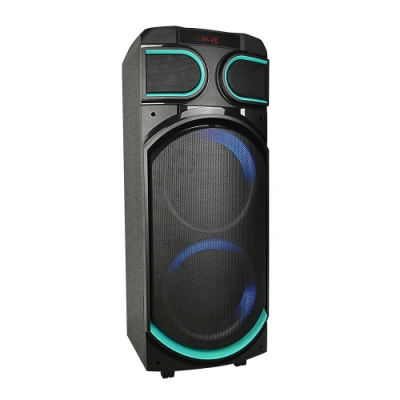 Temeisheng Dual 8 polegadas Big Bass Woofer Alto-falante Bluetooth para festa ao ar livre